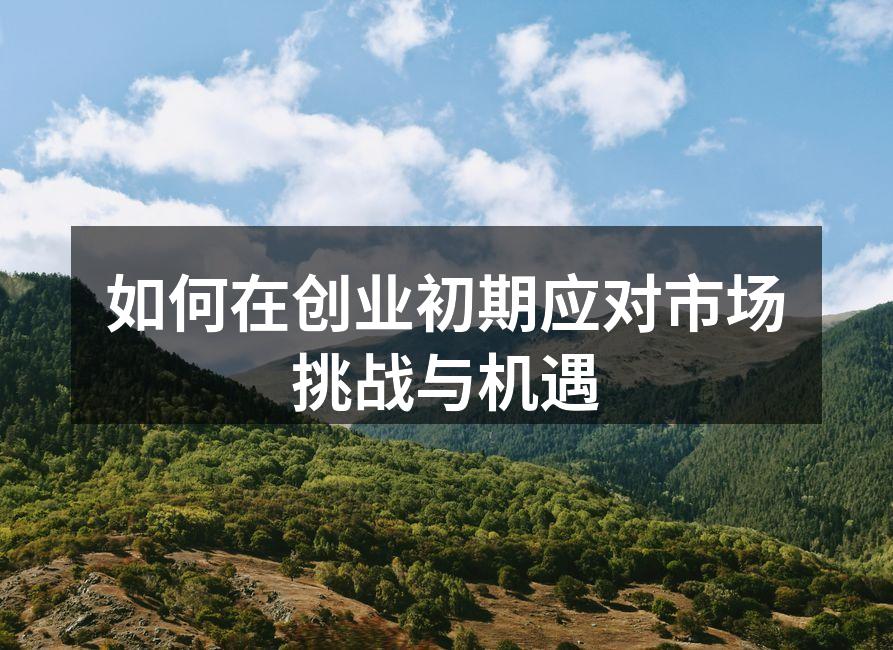 如何在创业初期应对市场挑战与机遇